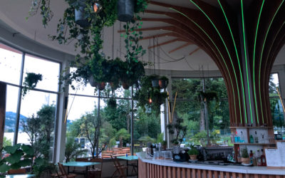 El Lido Beach House Lucerna utiliza ARX